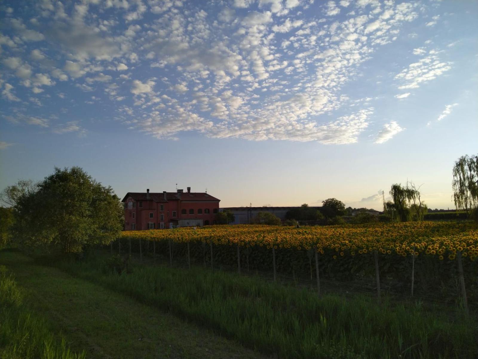Quadrifoglio Relax Guest House San Dona di Piave Exterior photo